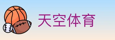 天空体育 logo